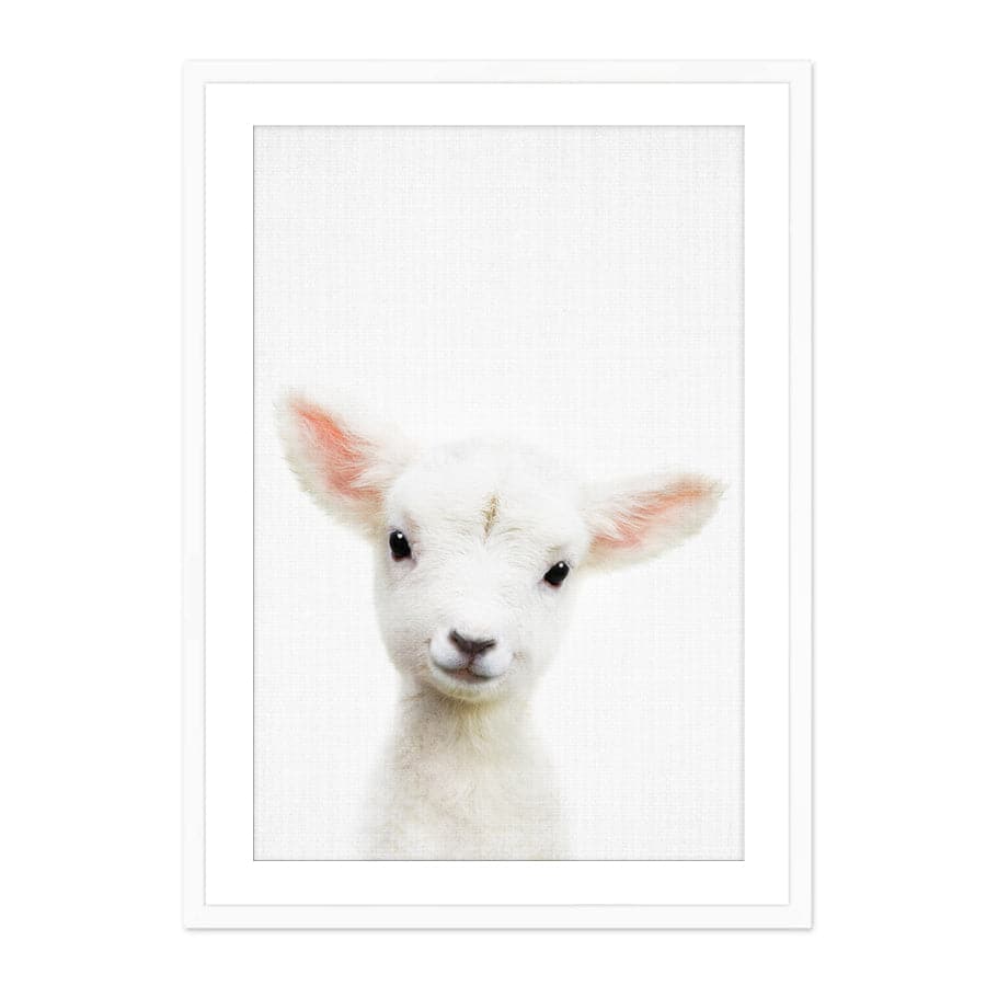 Peekaboo Lamb by Lola Peacock