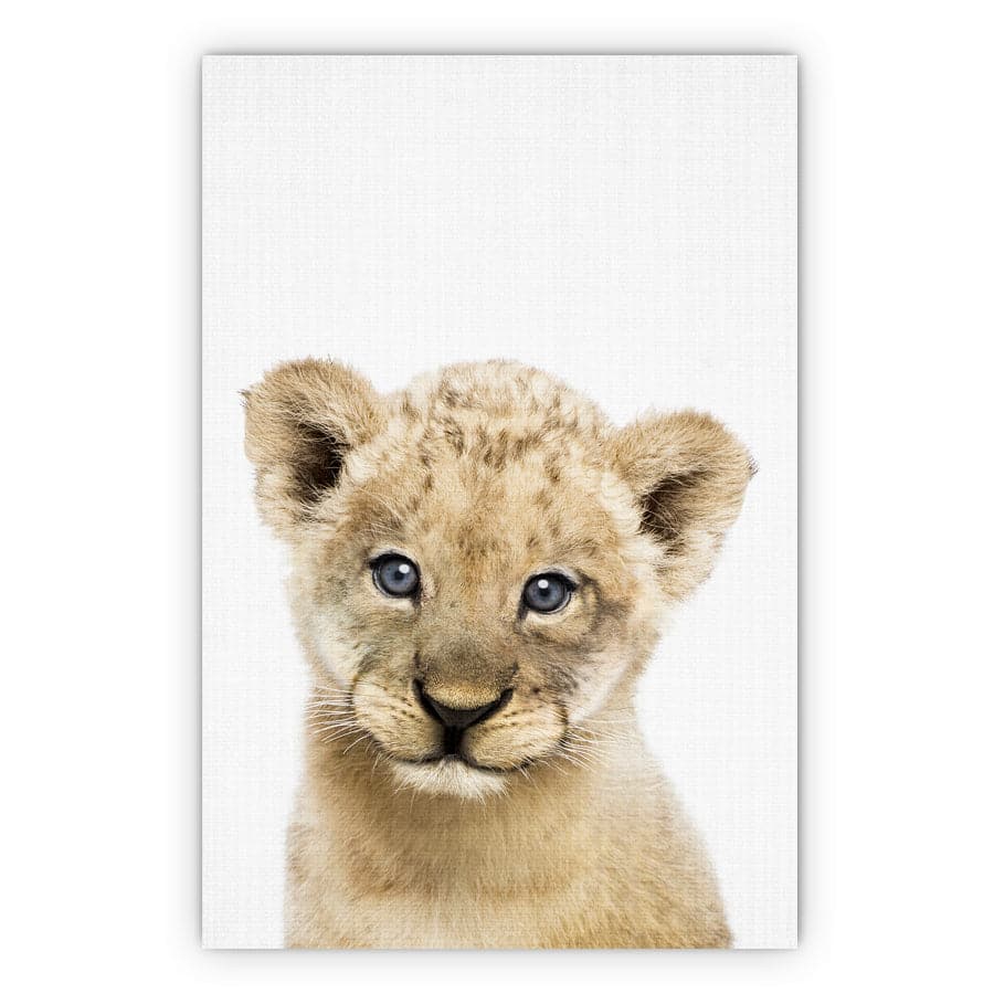 Peekaboo Lion by Lola Peacock