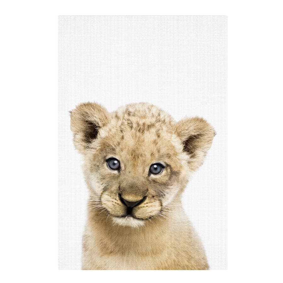 Peekaboo Lion by Lola Peacock