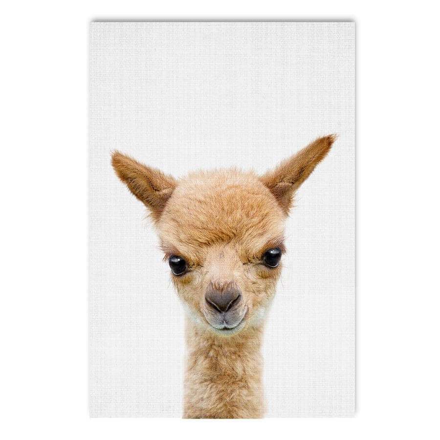 Peekaboo Llama by Lola Peacock