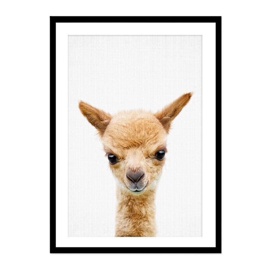Peekaboo Llama by Lola Peacock