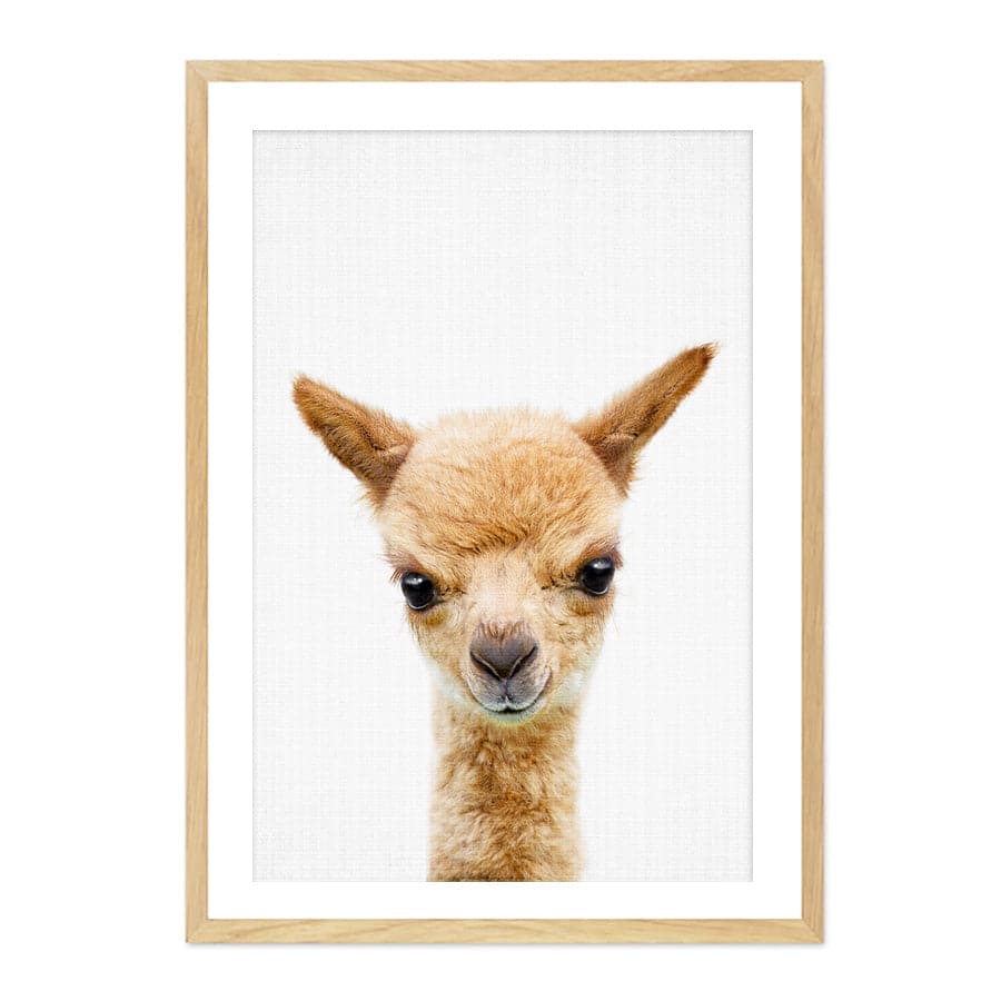 Peekaboo Llama by Lola Peacock