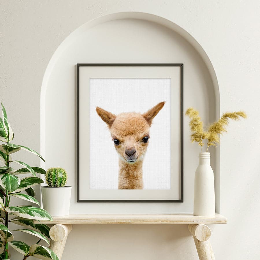 Peekaboo Llama by Lola Peacock