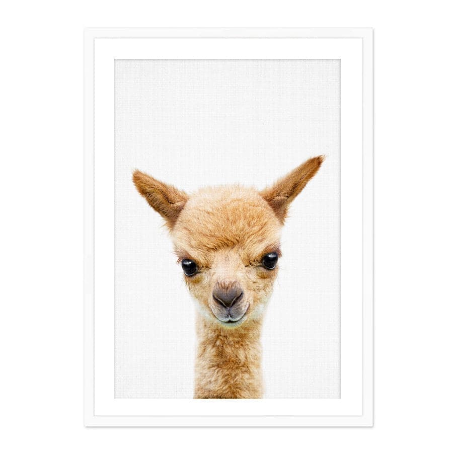 Peekaboo Llama by Lola Peacock