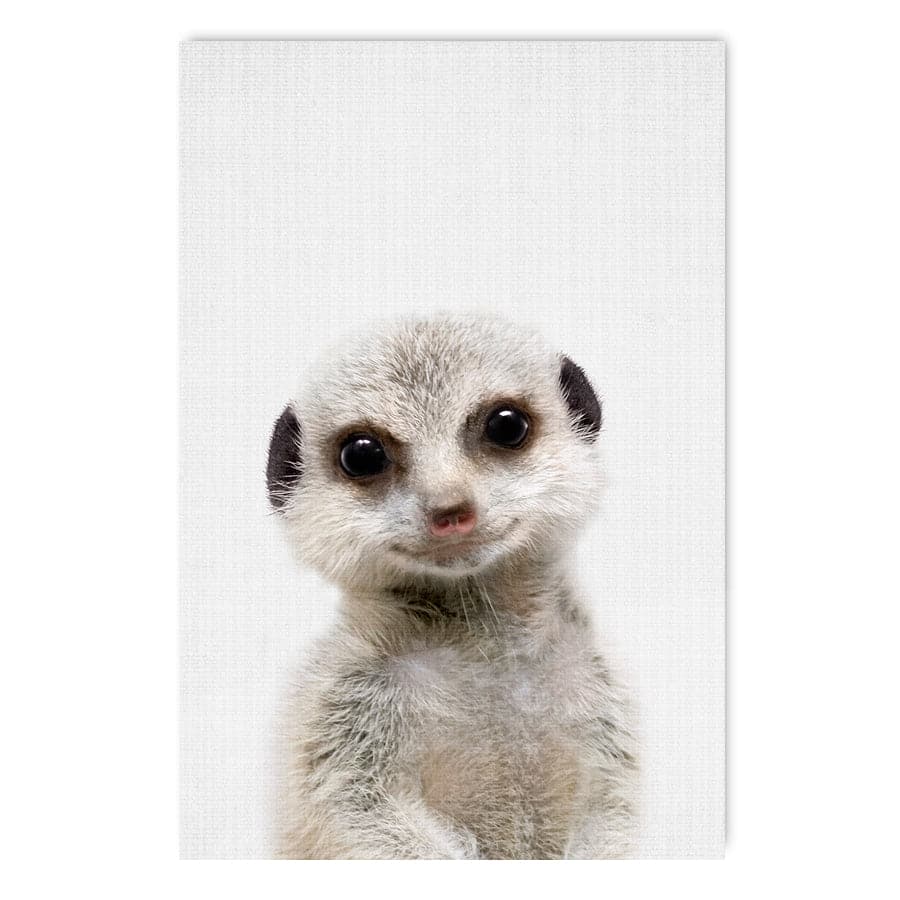 Peekaboo Meerkat by Lola Peacock