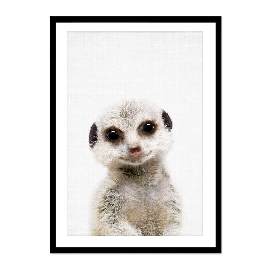 Peekaboo Meerkat by Lola Peacock