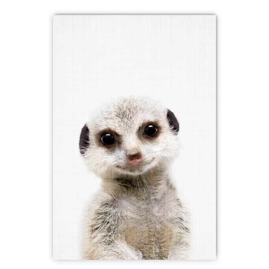 Peekaboo Meerkat by Lola Peacock