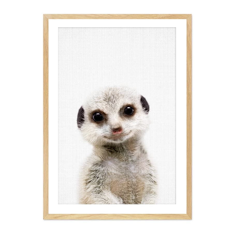 Peekaboo Meerkat by Lola Peacock