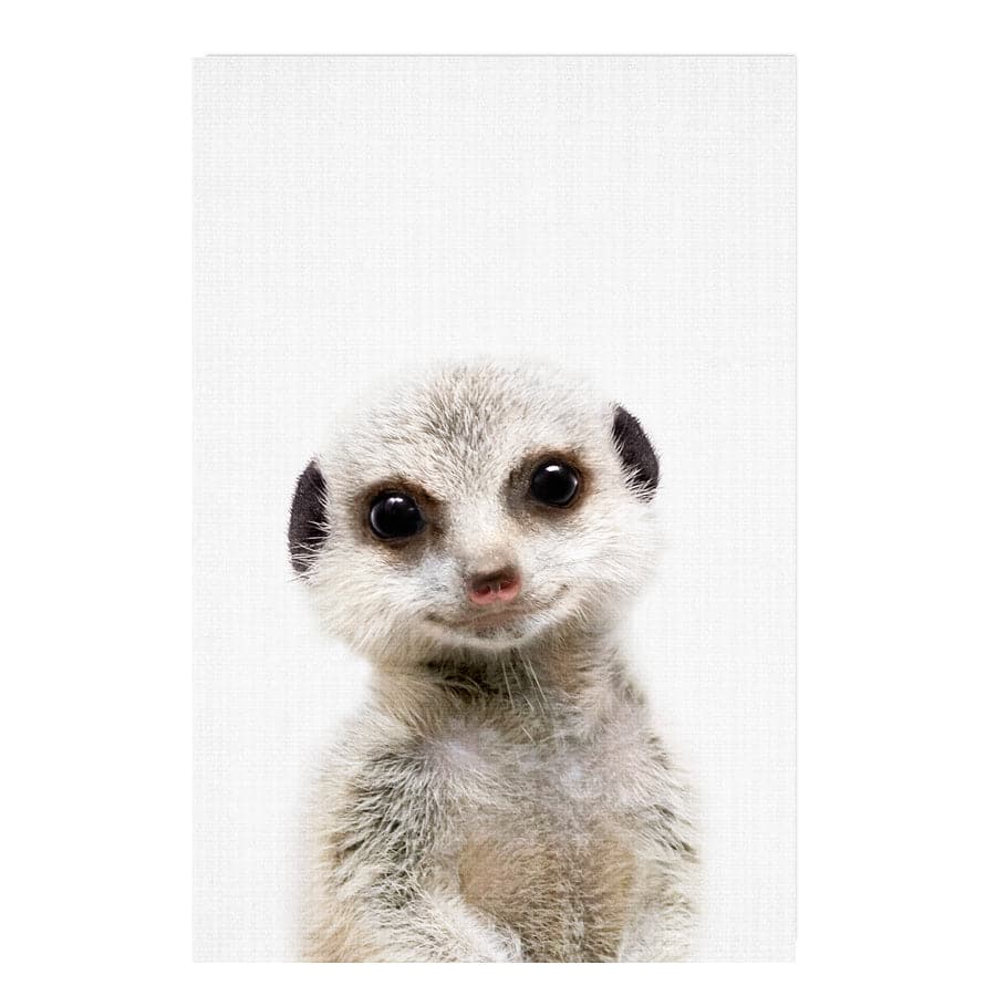 Peekaboo Meerkat by Lola Peacock
