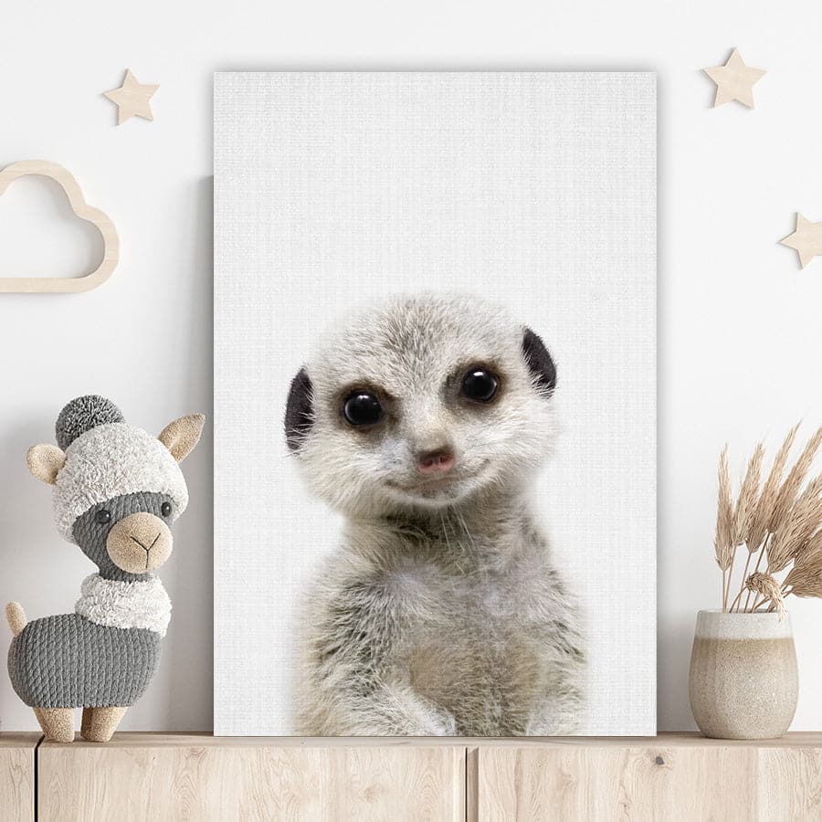 Peekaboo Meerkat by Lola Peacock