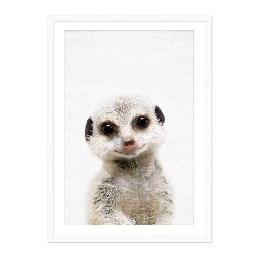 Peekaboo Meerkat by Lola Peacock