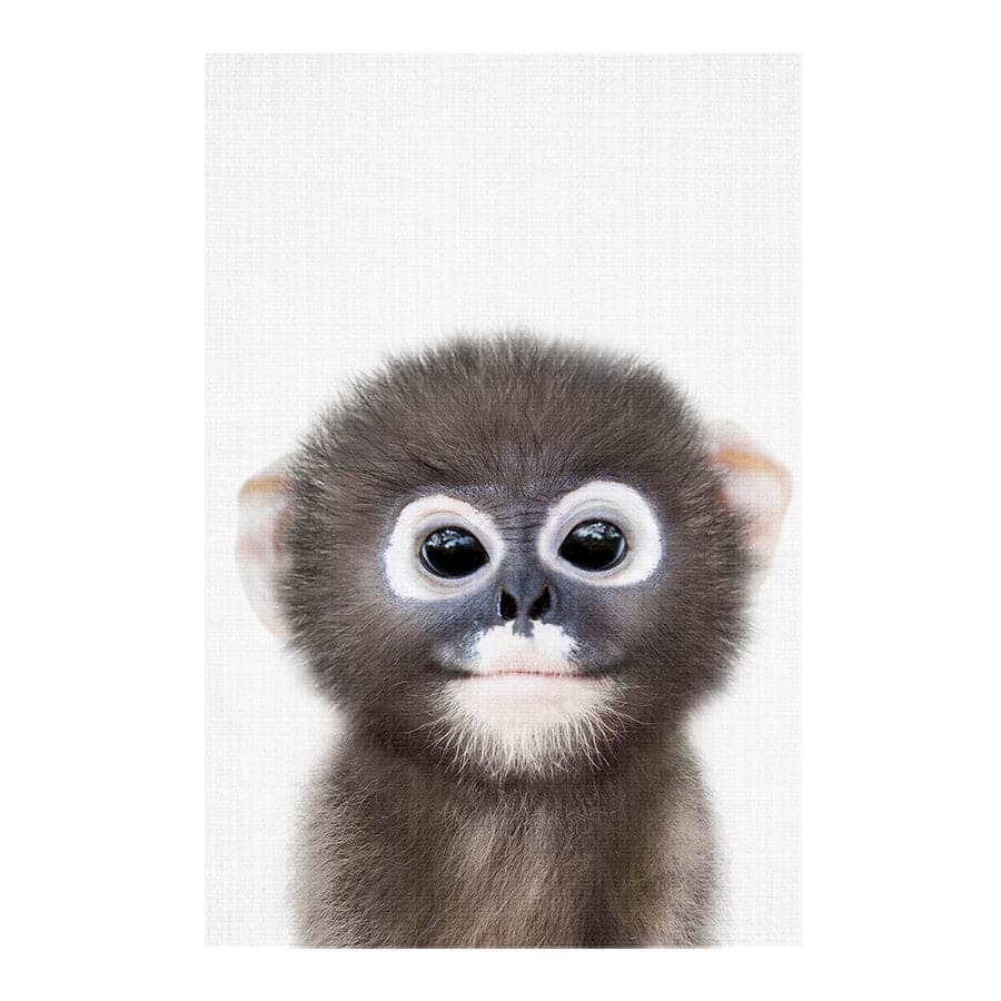 Peekaboo Monkey by Lola Peacock