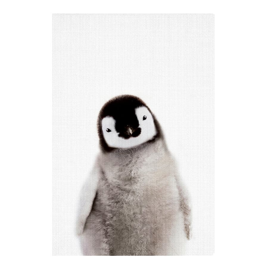 Peekaboo Penguin by Lola Peacock