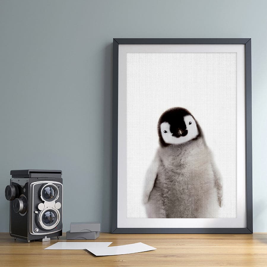 Peekaboo Penguin by Lola Peacock