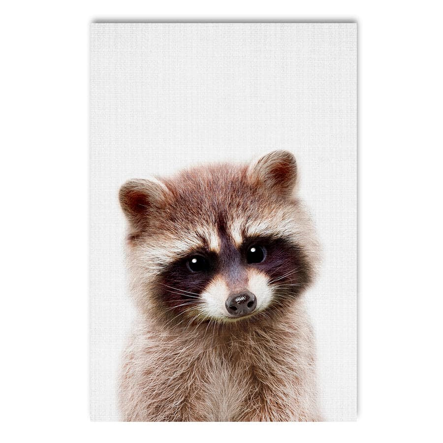 Peekaboo Raccoon by Lola Peacock