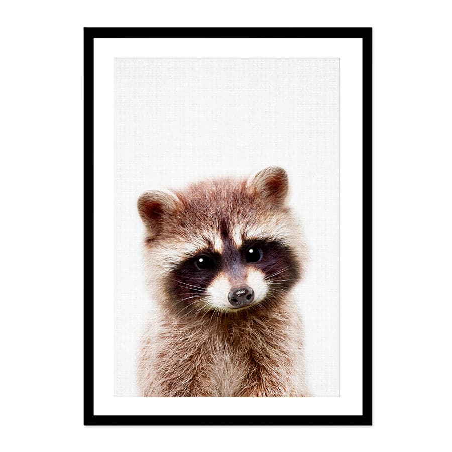 Peekaboo Raccoon by Lola Peacock