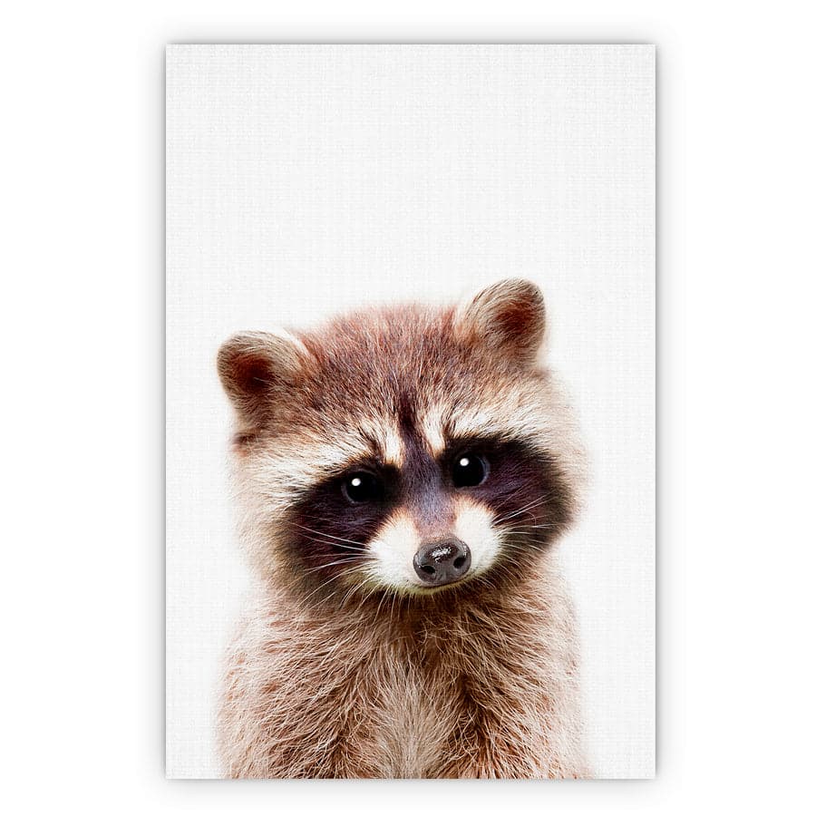Peekaboo Raccoon by Lola Peacock