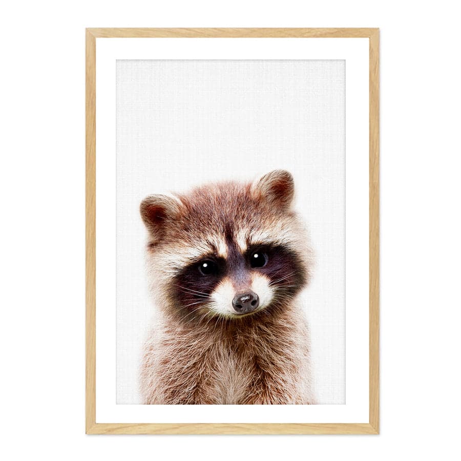 Peekaboo Raccoon by Lola Peacock