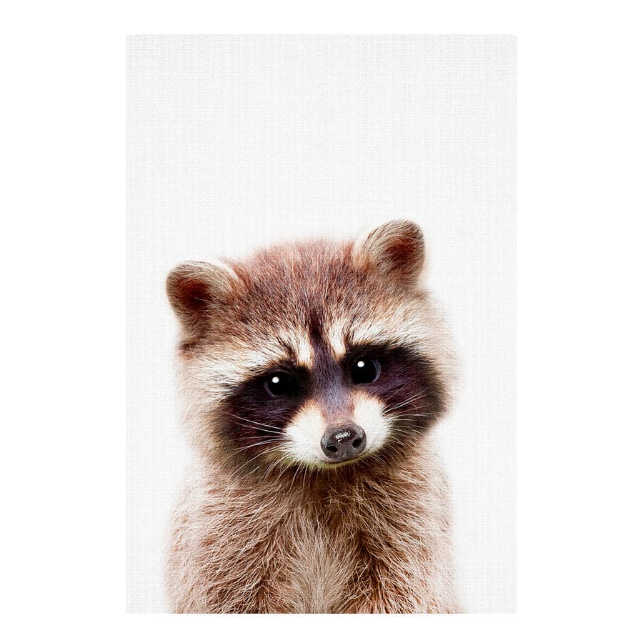 Peekaboo Raccoon by Lola Peacock