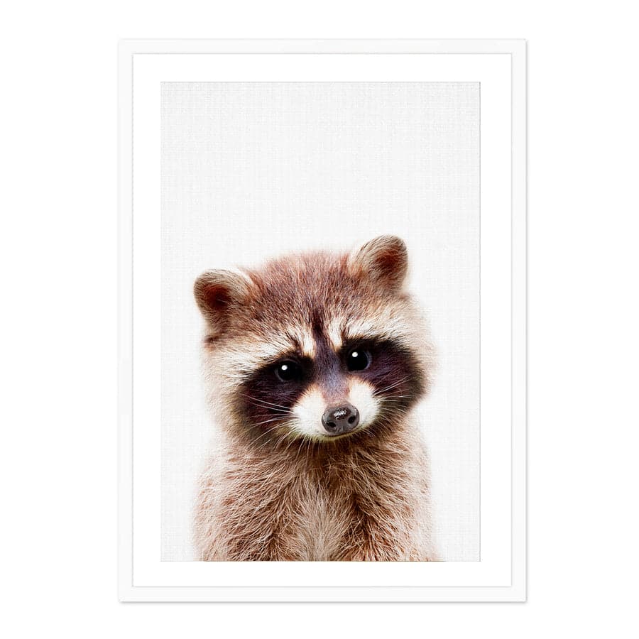 Peekaboo Raccoon by Lola Peacock
