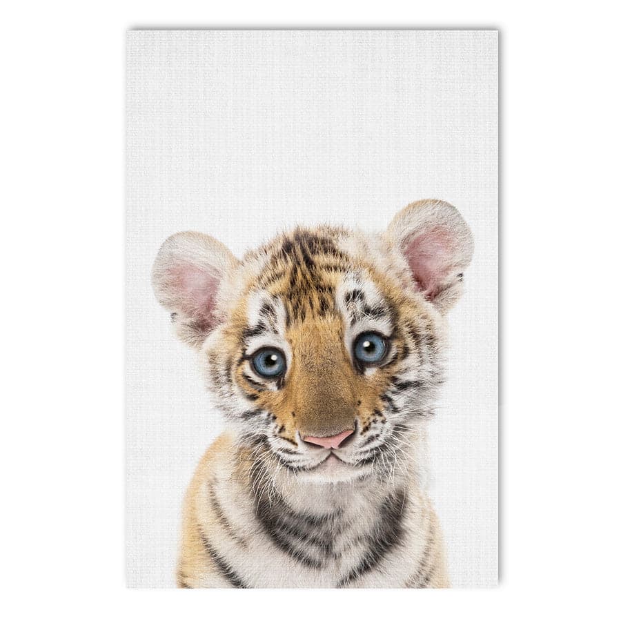 Peekaboo Tiger by Lola Peacock