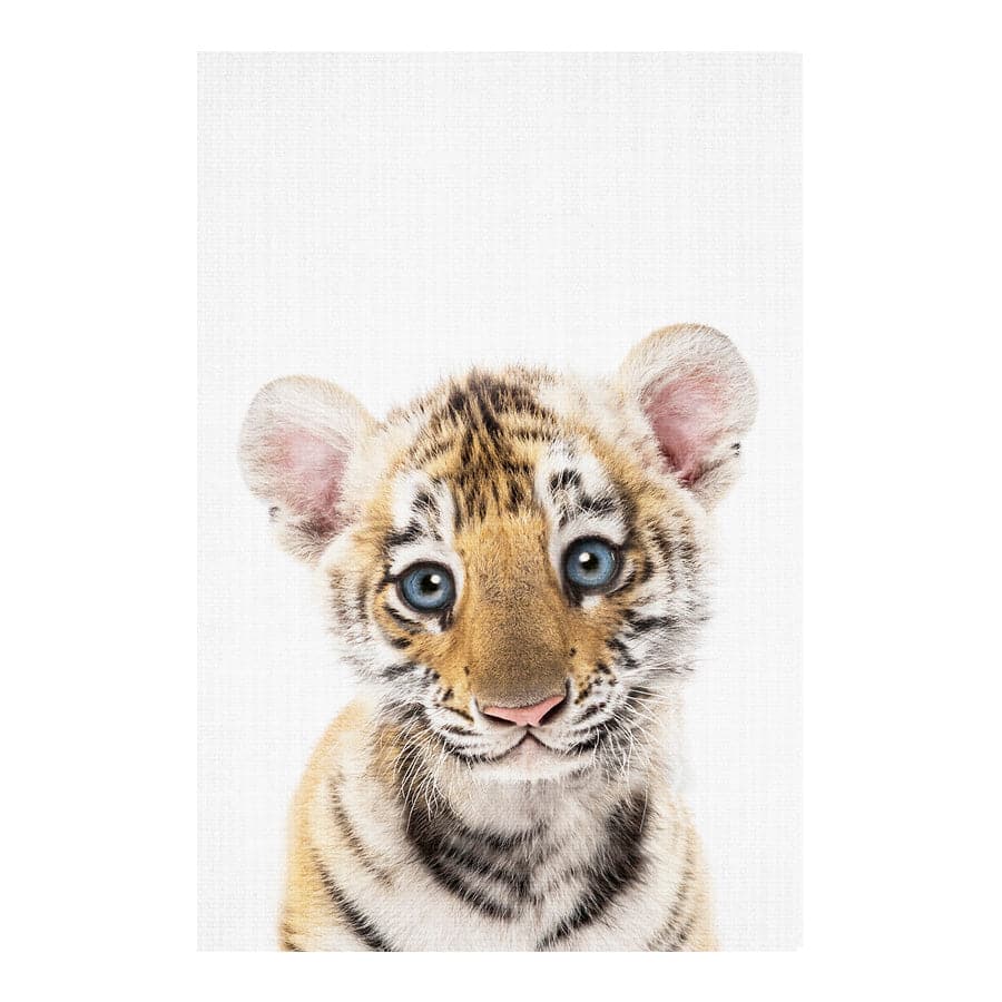 Peekaboo Tiger by Lola Peacock