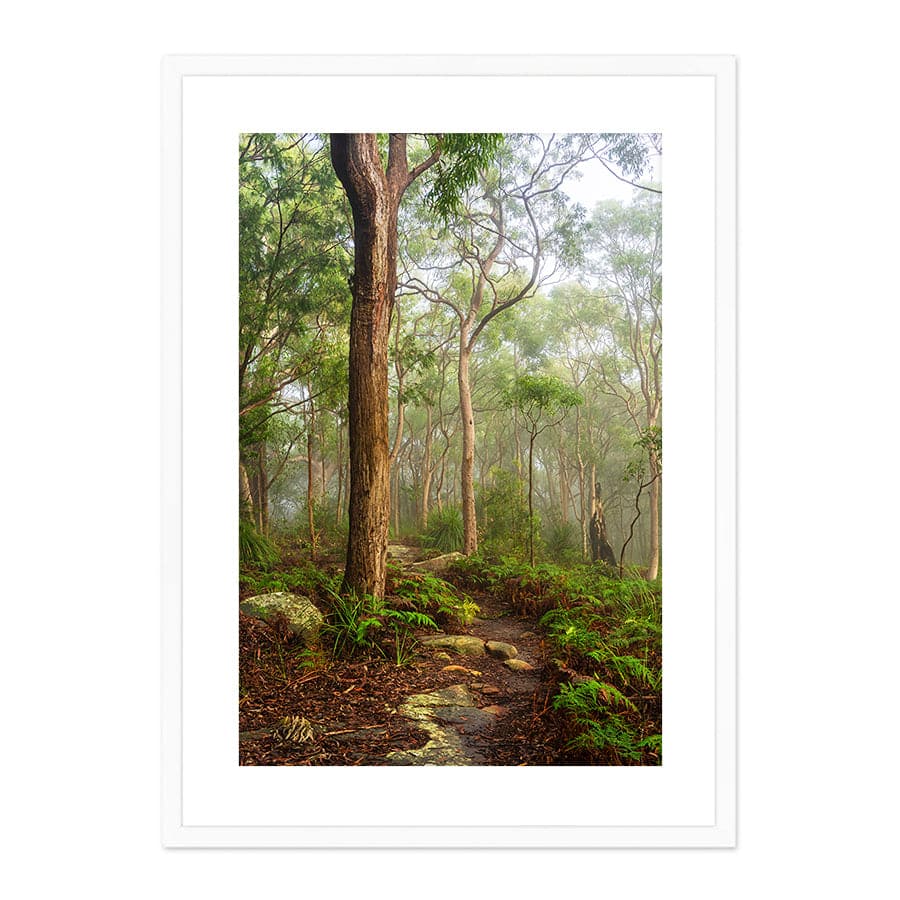 Kincumber Mountain 2 by Jason O'Brien