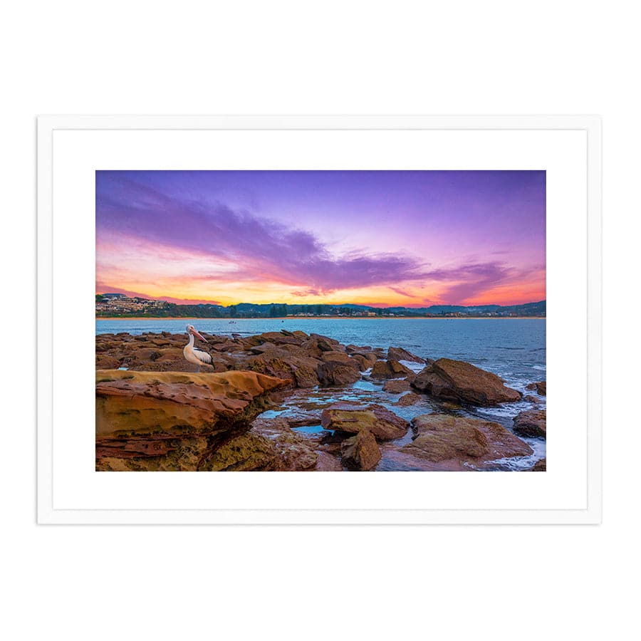 Terrigal Pelican by Ramin Far Azin