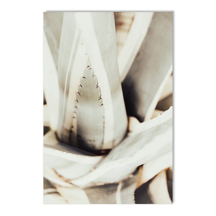 Plant Close Up 1 by Studio Scandi III