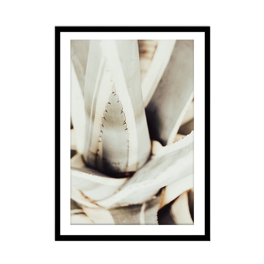 Plant Close Up 1 by Studio Scandi III