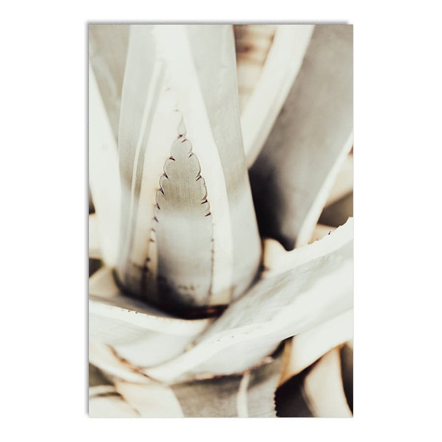 Plant Close Up 1 by Studio Scandi III
