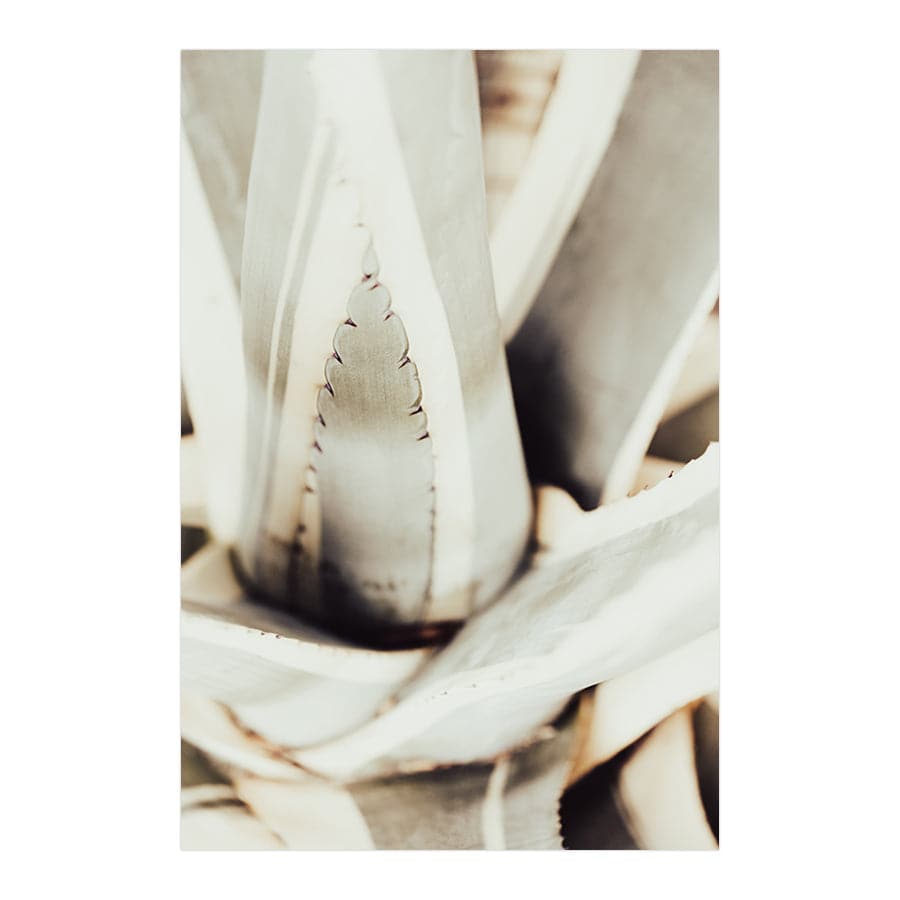 Plant Close Up 1 by Studio Scandi III
