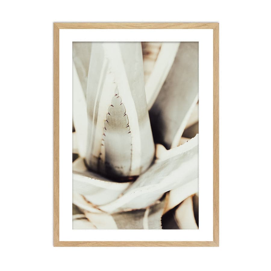 Plant Close Up 1 by Studio Scandi III
