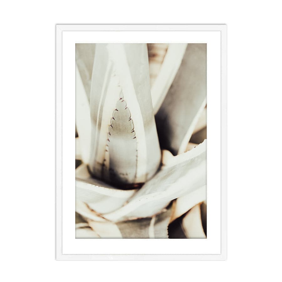 Plant Close Up 1 by Studio Scandi III