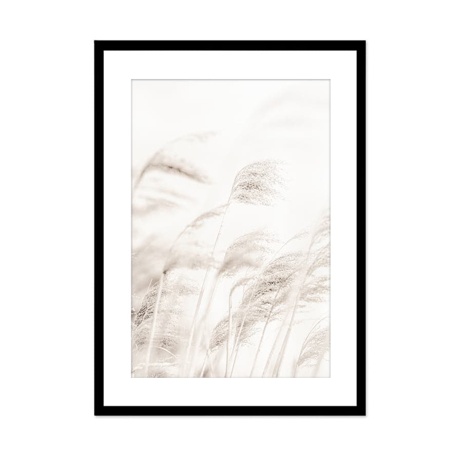 Reed by Studio Scandi III