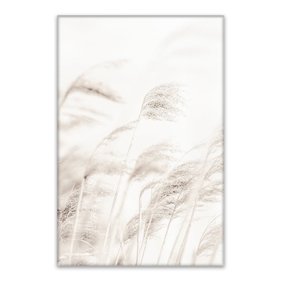 Reed by Studio Scandi III