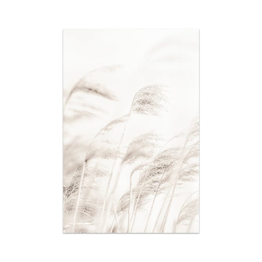 Reed by Studio Scandi III