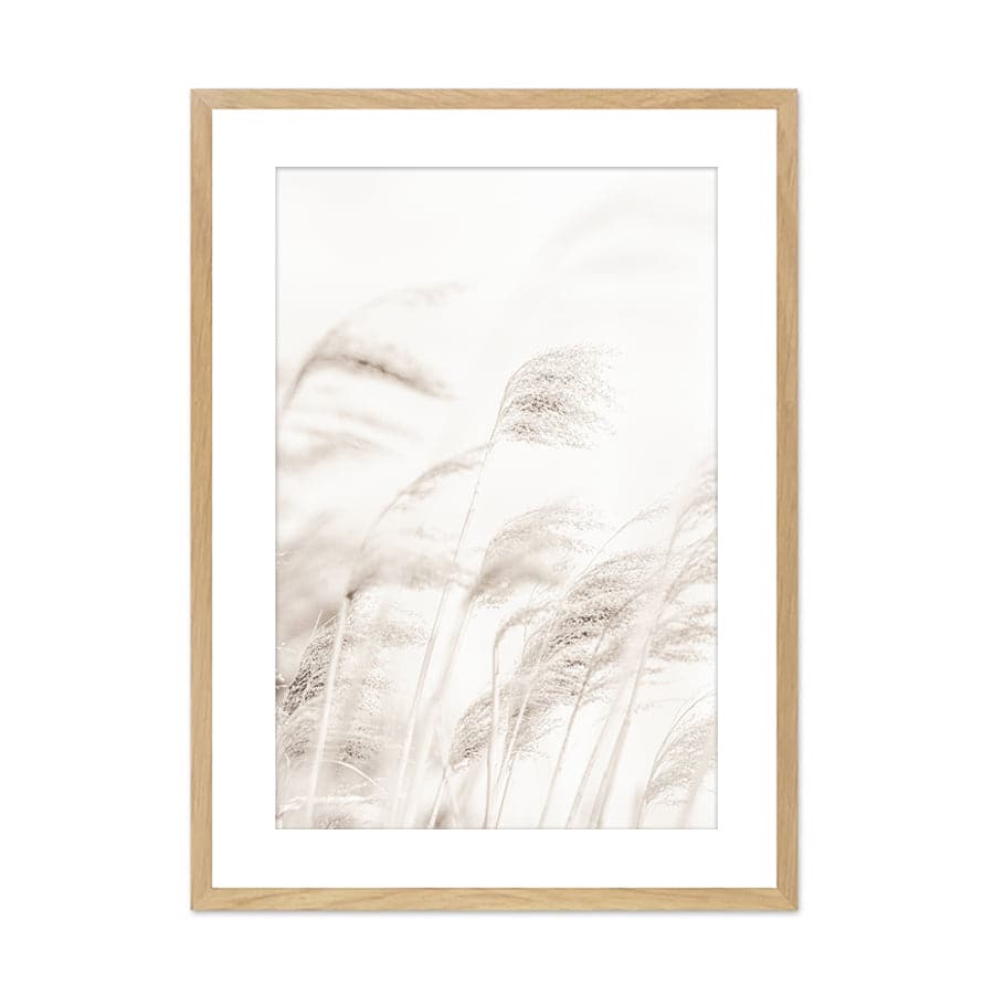 Reed by Studio Scandi III