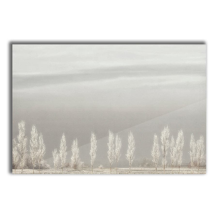 Silent World by Studio Scandi III