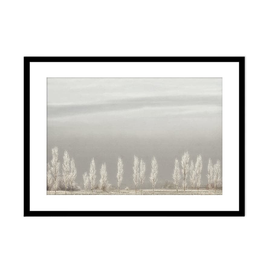 Silent World by Studio Scandi III