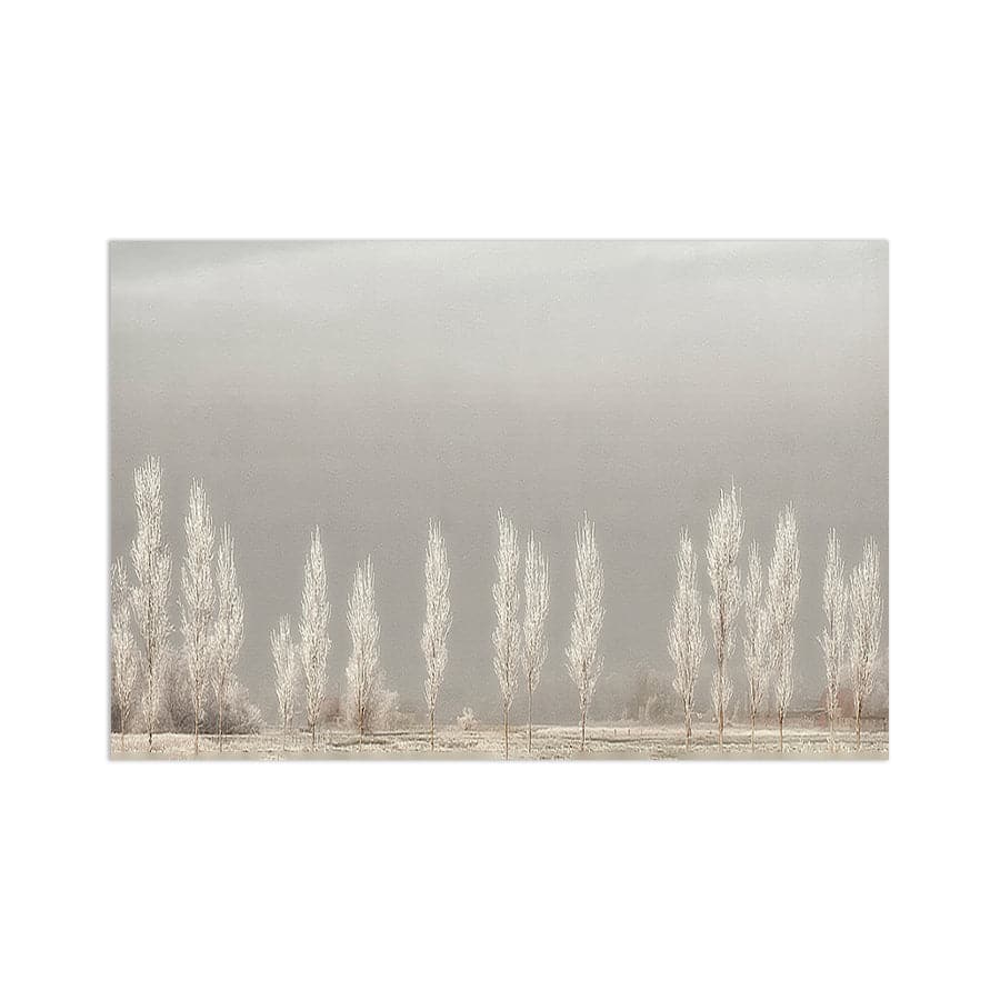 Silent World by Studio Scandi III