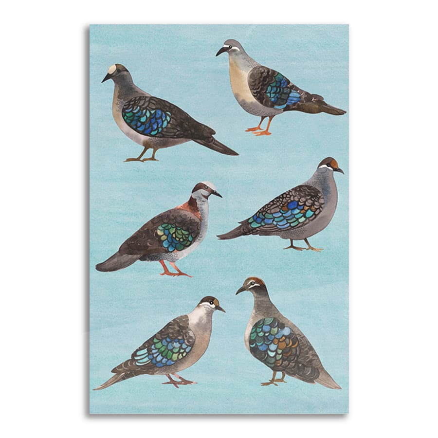 Bronzewing Pigeons by Natalie Ryan
