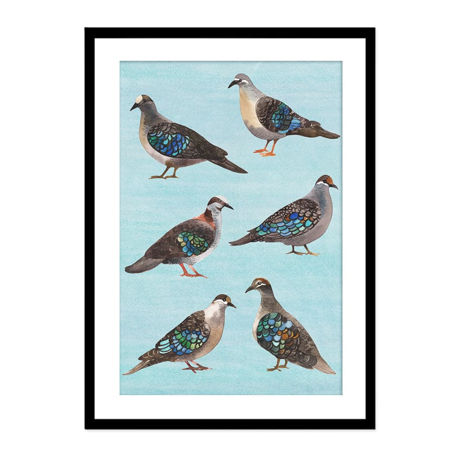 Bronzewing Pigeons by Natalie Ryan
