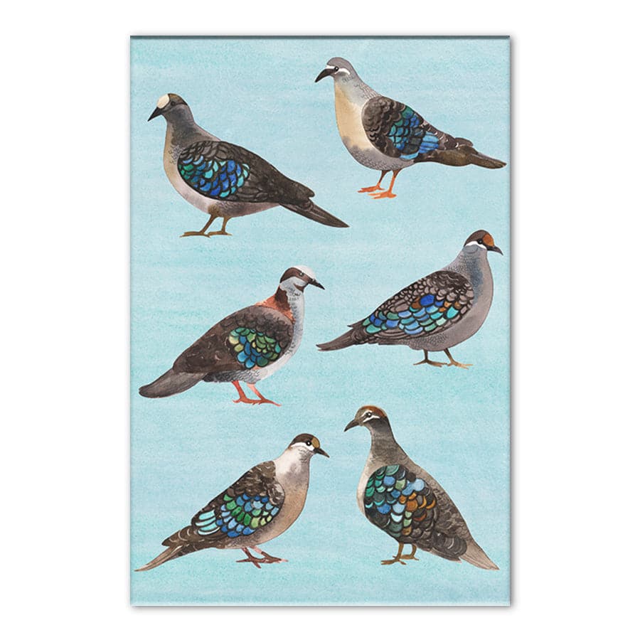 Bronzewing Pigeons by Natalie Ryan