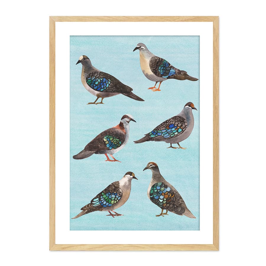 Bronzewing Pigeons by Natalie Ryan