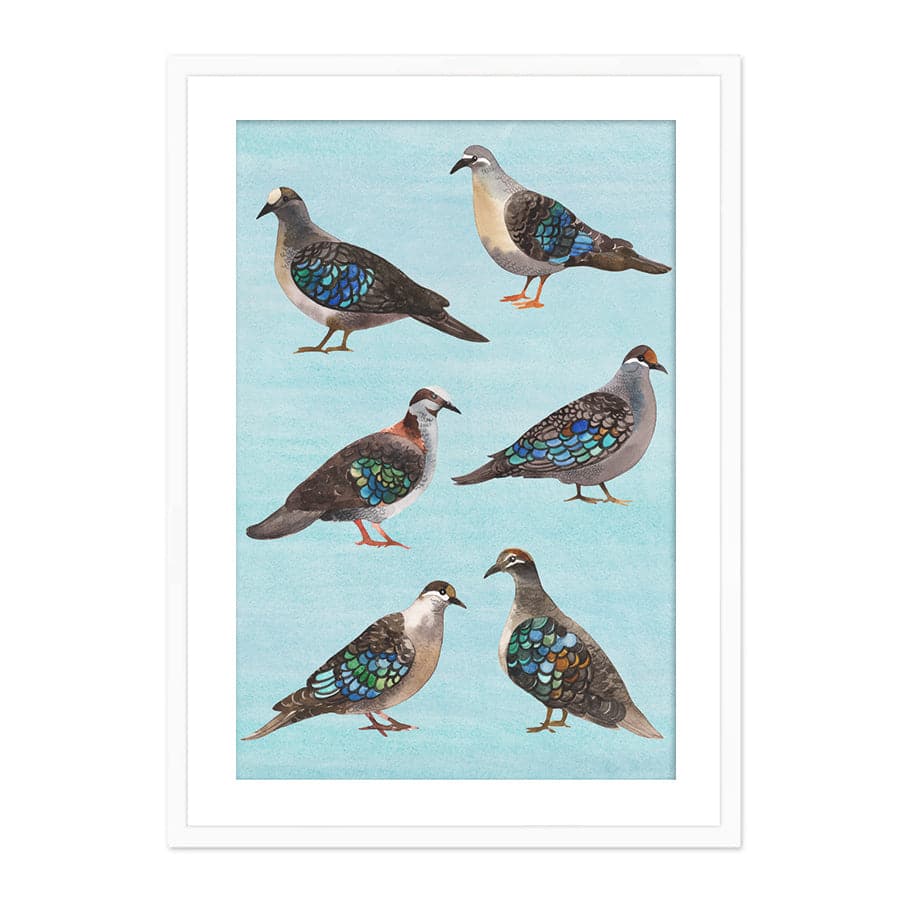 Bronzewing Pigeons by Natalie Ryan
