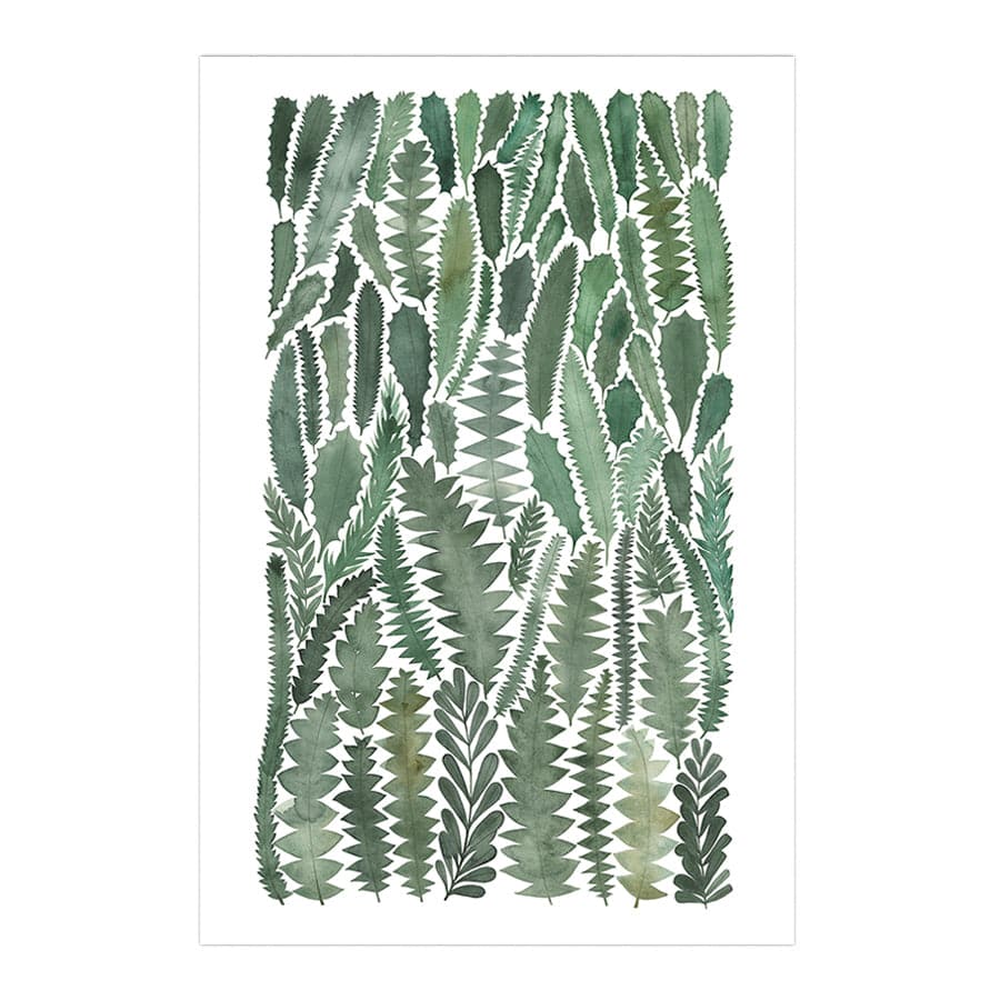 Banksia Leaves by Natalie Ryan