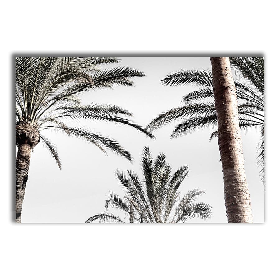 Palm 007 by Studio Scandi III