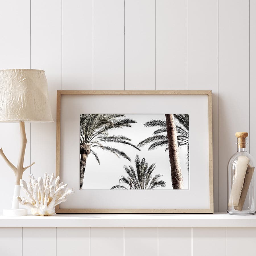 Palm 007 by Studio Scandi III