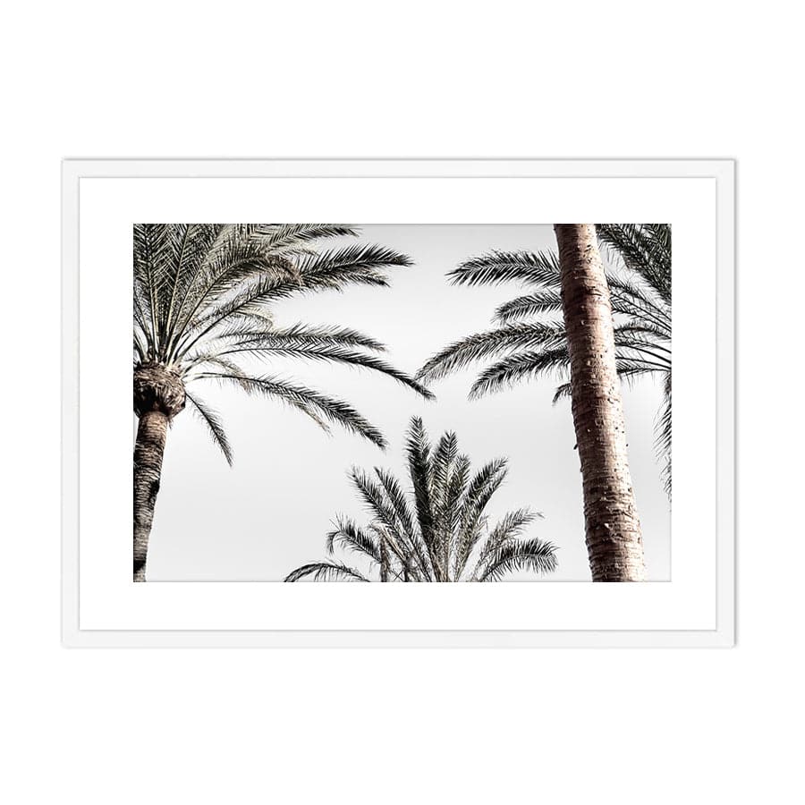 Palm 007 by Studio Scandi III